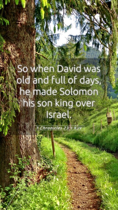Picture 05 - 1 Chronicles 23:1 KJV Mobile Phone Wallpaper - So when David was old and full of days, he made - Mobile Bible Verse Wallpaper