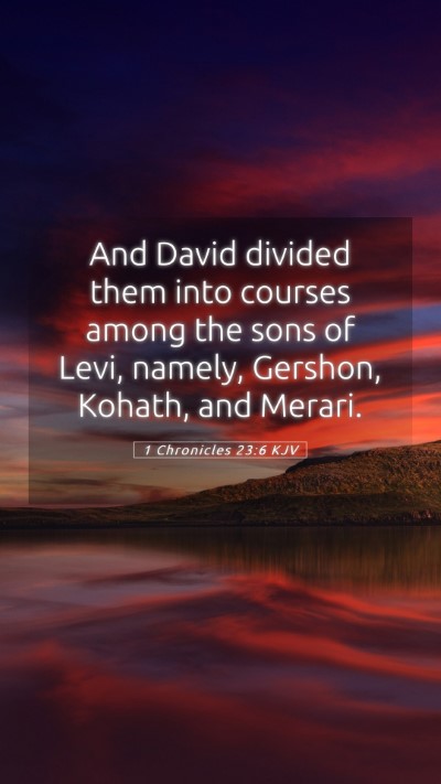 Picture 05 - 1 Chronicles 23:6 KJV Mobile Phone Wallpaper - And David divided them into courses among the - Mobile Bible Verse Wallpaper