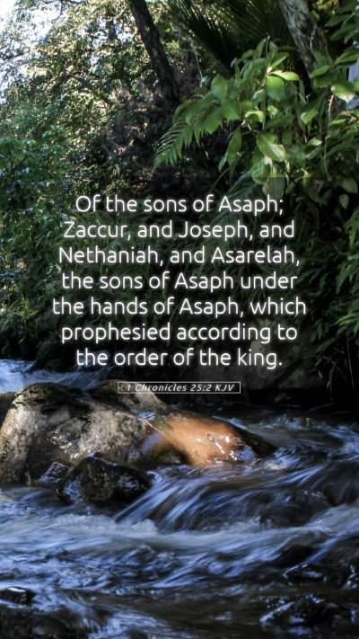 Picture 05 - 1 Chronicles 25:2 KJV Mobile Phone Wallpaper - Of the sons of Asaph; Zaccur, and Joseph, and - Mobile Bible Verse Wallpaper