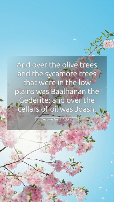 Picture 05 - 1 Chronicles 27:28 KJV Mobile Phone Wallpaper - And over the olive trees and the sycamore trees - Mobile Bible Verse Wallpaper