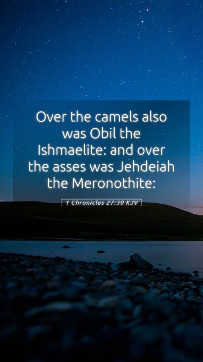 Picture 05 - 1 Chronicles 27:30 KJV Mobile Phone Wallpaper - Over the camels also was Obil the Ishmaelite: and - Mobile Bible Verse Wallpaper