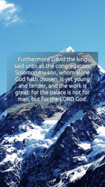 Picture 05 - 1 Chronicles 29:1 KJV Mobile Phone Wallpaper - Furthermore David the king said unto all the - Mobile Bible Verse Wallpaper
