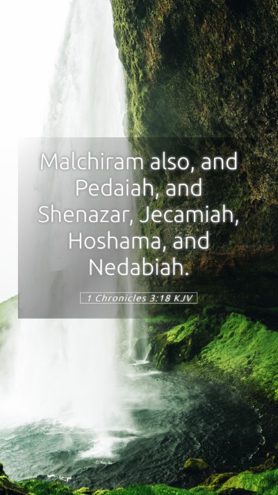 Picture 05 - 1 Chronicles 3:18 KJV Mobile Phone Wallpaper - Malchiram also, and Pedaiah, and Shenazar, - Mobile Bible Verse Wallpaper