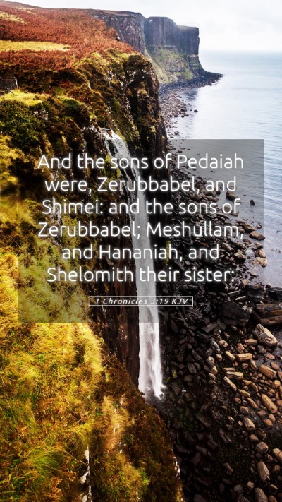 Picture 05 - 1 Chronicles 3:19 KJV Mobile Phone Wallpaper - And the sons of Pedaiah were, Zerubbabel, and - Mobile Bible Verse Wallpaper