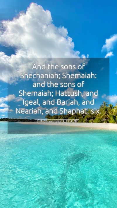 Picture 05 - 1 Chronicles 3:22 KJV Mobile Phone Wallpaper - And the sons of Shechaniah; Shemaiah: and the - Mobile Bible Verse Wallpaper