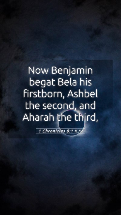 Picture 05 - 1 Chronicles 8:1 KJV Mobile Phone Wallpaper - Now Benjamin begat Bela his firstborn, Ashbel the - Mobile Bible Verse Wallpaper