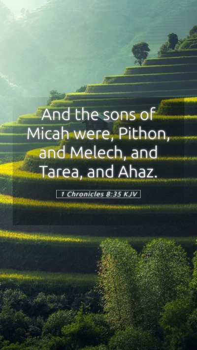 Picture 05 - 1 Chronicles 8:35 KJV Mobile Phone Wallpaper - And the sons of Micah were, Pithon, and Melech, - Mobile Bible Verse Wallpaper