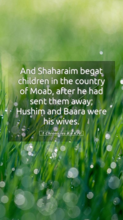 Picture 05 - 1 Chronicles 8:8 KJV Mobile Phone Wallpaper - And Shaharaim begat children in the country of - Mobile Bible Verse Wallpaper