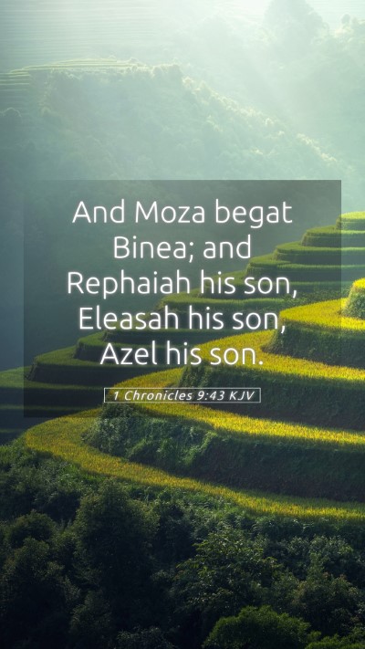 Picture 05 - 1 Chronicles 9:43 KJV Mobile Phone Wallpaper - And Moza begat Binea; and Rephaiah his son, - Mobile Bible Verse Wallpaper