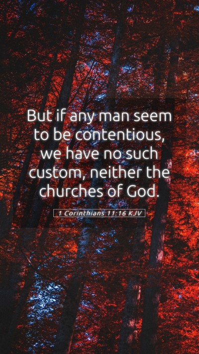 Picture 05 - 1 Corinthians 11:16 KJV Mobile Phone Wallpaper - But if any man seem to be contentious, we have no - Mobile Bible Verse Wallpaper