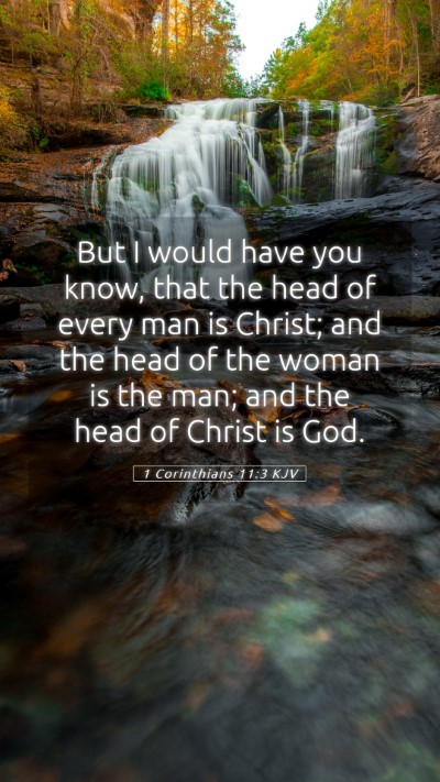Picture 05 - 1 Corinthians 11:3 KJV Mobile Phone Wallpaper - But I would have you know, that the head of every - Mobile Bible Verse Wallpaper