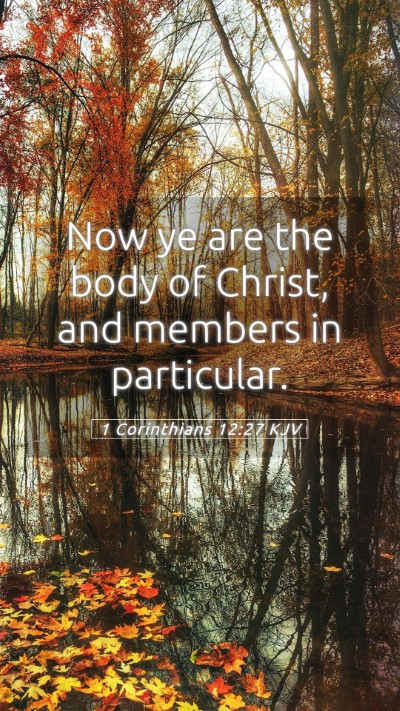 Picture 05 - 1 Corinthians 12:27 KJV Mobile Phone Wallpaper - Now ye are the body of Christ, and members in - Mobile Bible Verse Wallpaper