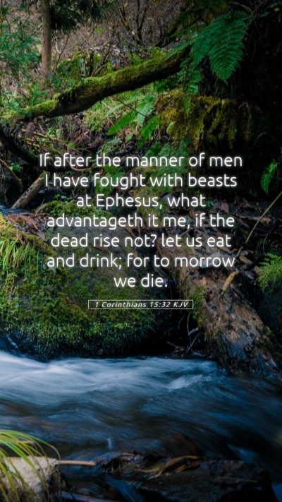 Picture 05 - 1 Corinthians 15:32 KJV Mobile Phone Wallpaper - If after the manner of men I have fought with - Mobile Bible Verse Wallpaper