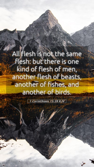 Picture 05 - 1 Corinthians 15:39 KJV Mobile Phone Wallpaper - All flesh is not the same flesh: but there is one - Mobile Bible Verse Wallpaper