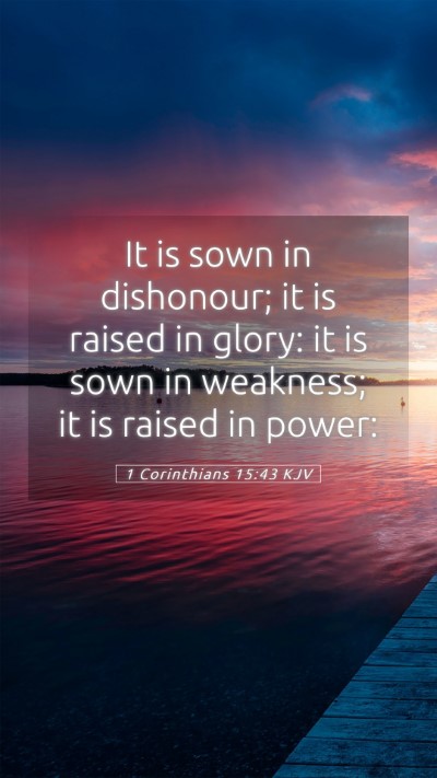 Picture 05 - 1 Corinthians 15:43 KJV Mobile Phone Wallpaper - It is sown in dishonour; it is raised in glory: - Mobile Bible Verse Wallpaper