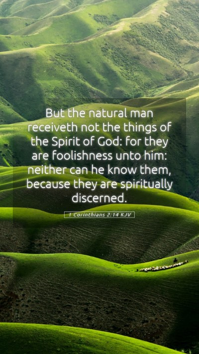 Picture 05 - 1 Corinthians 2:14 KJV Mobile Phone Wallpaper - But the natural man receiveth not the things of - Mobile Bible Verse Wallpaper
