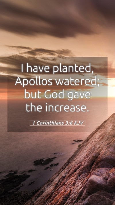 Picture 05 - 1 Corinthians 3:6 KJV Mobile Phone Wallpaper - I have planted, Apollos watered; but God gave the - Mobile Bible Verse Wallpaper