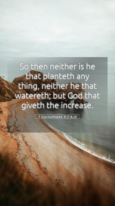 Picture 05 - 1 Corinthians 3:7 KJV Mobile Phone Wallpaper - So then neither is he that planteth any thing, - Mobile Bible Verse Wallpaper