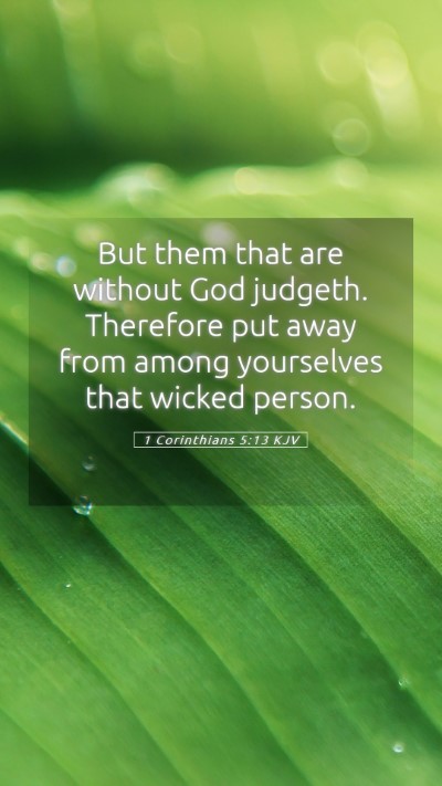 Picture 05 - 1 Corinthians 5:13 KJV Mobile Phone Wallpaper - But them that are without God judgeth. Therefore - Mobile Bible Verse Wallpaper