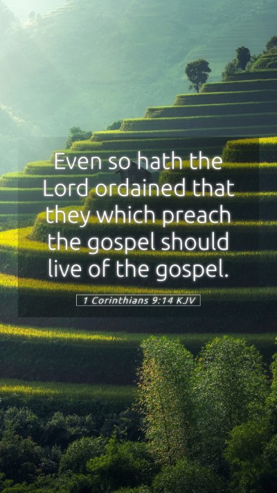 Picture 05 - 1 Corinthians 9:14 KJV Mobile Phone Wallpaper - Even so hath the Lord ordained that they which - Mobile Bible Verse Wallpaper