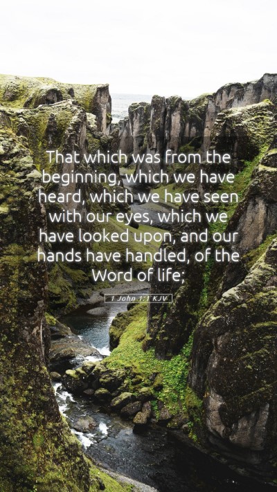 Picture 05 - 1 John 1:1 KJV Mobile Phone Wallpaper - That which was from the beginning, which we have - Mobile Bible Verse Wallpaper