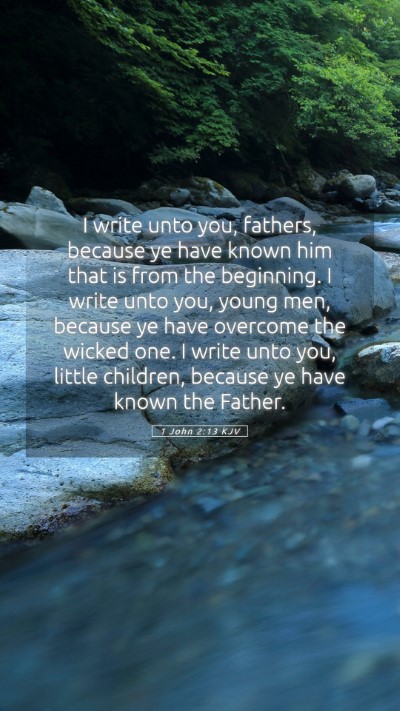 Picture 05 - 1 John 2:13 KJV Mobile Phone Wallpaper - I write unto you, fathers, because ye have known - Mobile Bible Verse Wallpaper