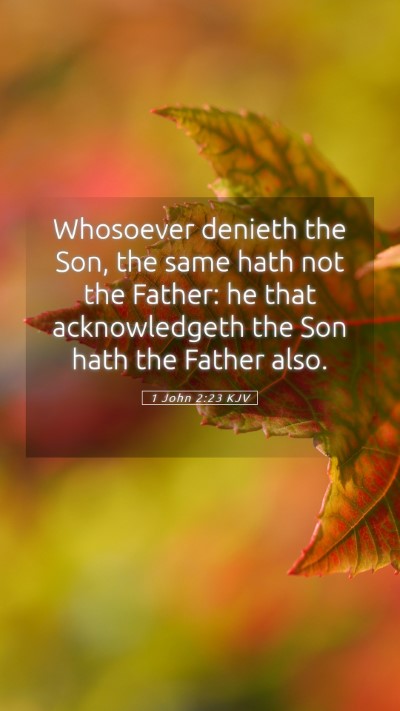 Picture 05 - 1 John 2:23 KJV Mobile Phone Wallpaper - Whosoever denieth the Son, the same hath not the - Mobile Bible Verse Wallpaper