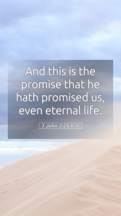 Picture 05 - 1 John 2:25 KJV Mobile Phone Wallpaper - And this is the promise that he hath promised us, - Mobile Bible Verse Wallpaper