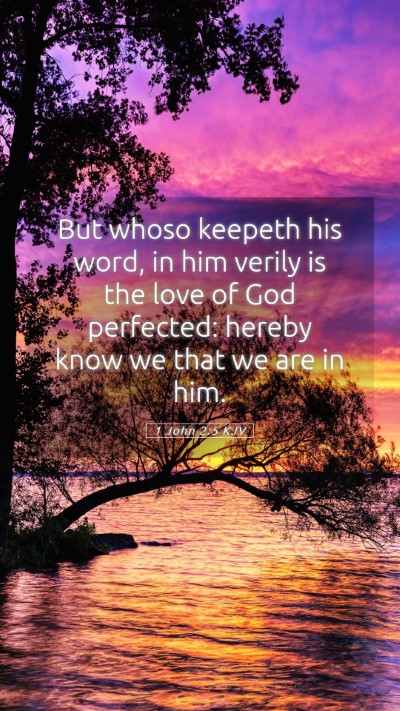 Picture 05 - 1 John 2:5 KJV Mobile Phone Wallpaper - But whoso keepeth his word, in him verily is the - Mobile Bible Verse Wallpaper