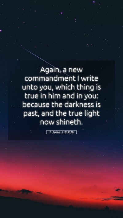 Picture 05 - 1 John 2:8 KJV Mobile Phone Wallpaper - Again, a new commandment I write unto you, which - Mobile Bible Verse Wallpaper