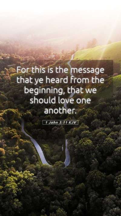 Picture 05 - 1 John 3:11 KJV Mobile Phone Wallpaper - For this is the message that ye heard from the - Mobile Bible Verse Wallpaper