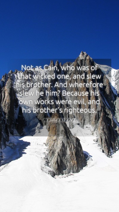 Picture 05 - 1 John 3:12 KJV Mobile Phone Wallpaper - Not as Cain, who was of that wicked one, and slew - Mobile Bible Verse Wallpaper
