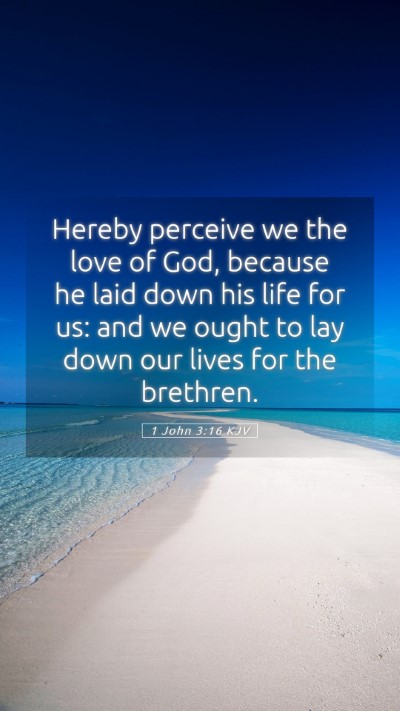 Picture 05 - 1 John 3:16 KJV Mobile Phone Wallpaper - Hereby perceive we the love of God, because he - Mobile Bible Verse Wallpaper