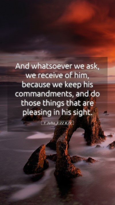 Picture 05 - 1 John 3:22 KJV Mobile Phone Wallpaper - And whatsoever we ask, we receive of him, because - Mobile Bible Verse Wallpaper