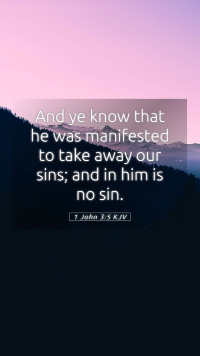 Picture 05 - 1 John 3:5 KJV Mobile Phone Wallpaper - And ye know that he was manifested to take away - Mobile Bible Verse Wallpaper