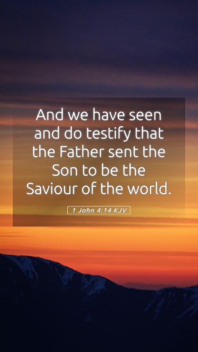 Picture 05 - 1 John 4:14 KJV Mobile Phone Wallpaper - And we have seen and do testify that the Father - Mobile Bible Verse Wallpaper