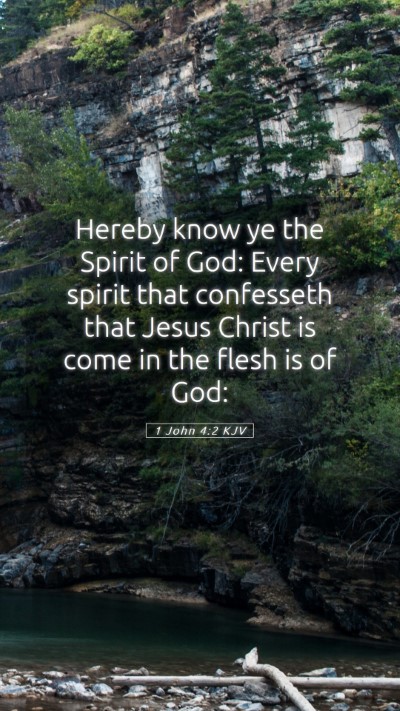 Picture 05 - 1 John 4:2 KJV Mobile Phone Wallpaper - Hereby know ye the Spirit of God: Every spirit - Mobile Bible Verse Wallpaper