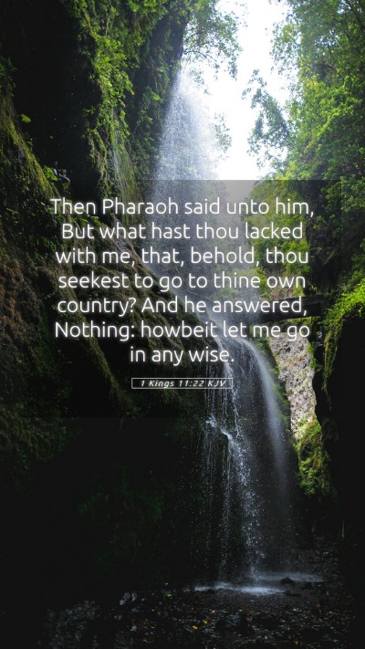 Picture 05 - 1 Kings 11:22 KJV Mobile Phone Wallpaper - Then Pharaoh said unto him, But what hast thou - Mobile Bible Verse Wallpaper