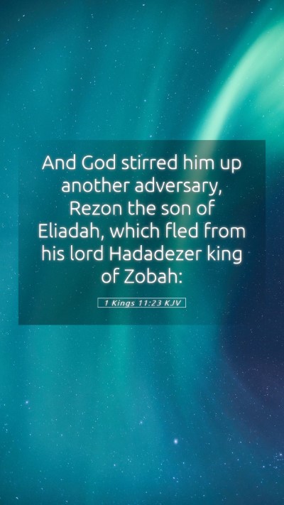 Picture 05 - 1 Kings 11:23 KJV Mobile Phone Wallpaper - And God stirred him up another adversary, Rezon - Mobile Bible Verse Wallpaper