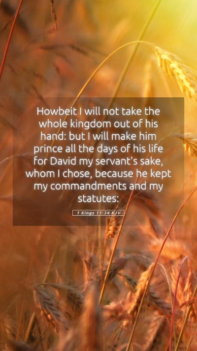 Picture 05 - 1 Kings 11:34 KJV Mobile Phone Wallpaper - Howbeit I will not take the whole kingdom out of - Mobile Bible Verse Wallpaper