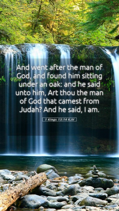 Picture 05 - 1 Kings 13:14 KJV Mobile Phone Wallpaper - And went after the man of God, and found him - Mobile Bible Verse Wallpaper
