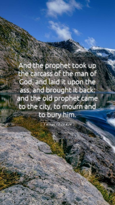 Picture 05 - 1 Kings 13:29 KJV Mobile Phone Wallpaper - And the prophet took up the carcass of the man of - Mobile Bible Verse Wallpaper