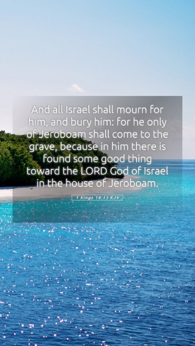 Picture 05 - 1 Kings 14:13 KJV Mobile Phone Wallpaper - And all Israel shall mourn for him, and bury him: - Mobile Bible Verse Wallpaper