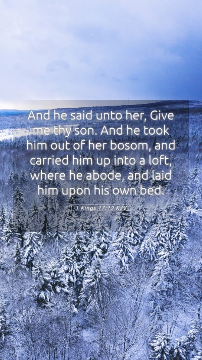 Picture 05 - 1 Kings 17:19 KJV Mobile Phone Wallpaper - And he said unto her, Give me thy son. And he - Mobile Bible Verse Wallpaper