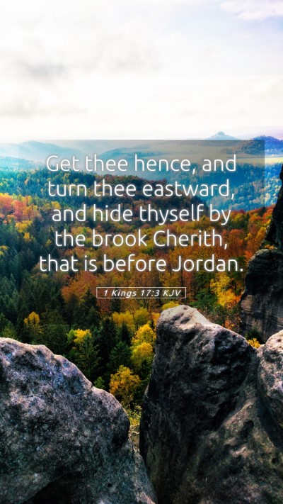 Picture 05 - 1 Kings 17:3 KJV Mobile Phone Wallpaper - Get thee hence, and turn thee eastward, and hide - Mobile Bible Verse Wallpaper