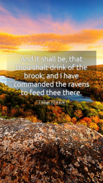 Picture 05 - 1 Kings 17:4 KJV Mobile Phone Wallpaper - And it shall be, that thou shalt drink of the - Mobile Bible Verse Wallpaper