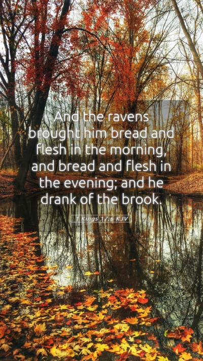 Picture 05 - 1 Kings 17:6 KJV Mobile Phone Wallpaper - And the ravens brought him bread and flesh in the - Mobile Bible Verse Wallpaper