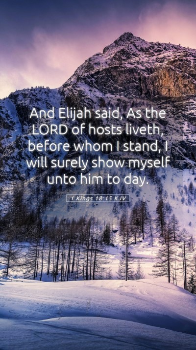 Picture 05 - 1 Kings 18:15 KJV Mobile Phone Wallpaper - And Elijah said, As the LORD of hosts liveth, - Mobile Bible Verse Wallpaper