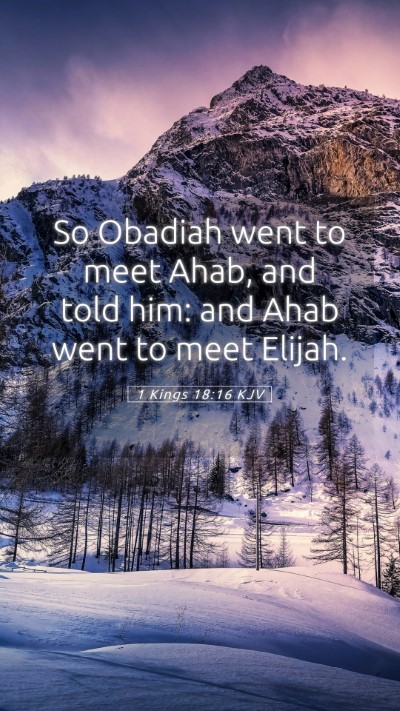 Picture 05 - 1 Kings 18:16 KJV Mobile Phone Wallpaper - So Obadiah went to meet Ahab, and told him: and - Mobile Bible Verse Wallpaper