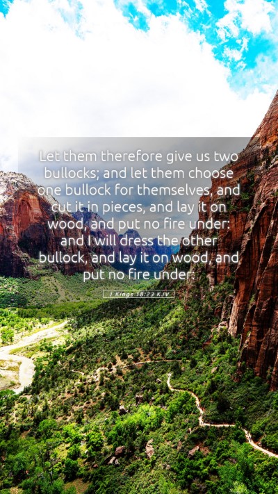 Picture 05 - 1 Kings 18:23 KJV Mobile Phone Wallpaper - Let them therefore give us two bullocks; and let - Mobile Bible Verse Wallpaper